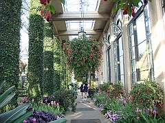 417 Longwood Gardens [2008 August 23]